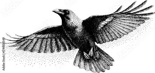 Intricate dotwork stippling illustration of a raven with outstretched wings for artistic design