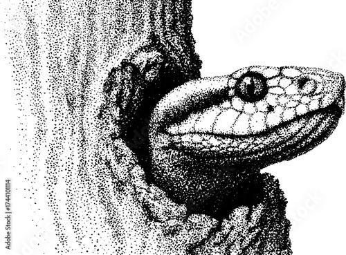 Intricate dotwork stippling illustration of a serpent wrapped around a branch
