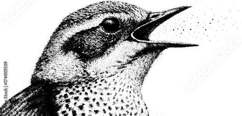 Enchanting sirin bird woman: intricate dotwork stipple art for design and inspiration