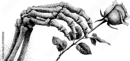 Skeleton hand holding rose detailed dotwork stipple art for design and print