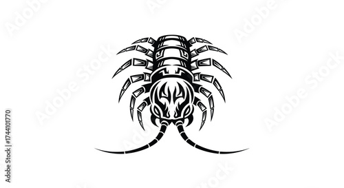 Black and white tribal centipede illustration Keywords: centipede, insect, arthropod, creature