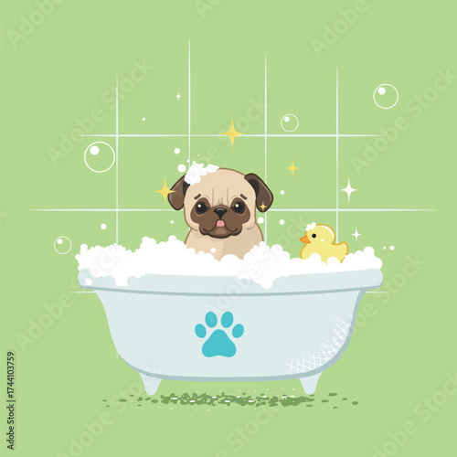 Vector cartoon dog in a bathtub with a rubber duck. The pug enjoys bathing.