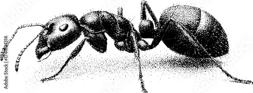 Intricate dotwork illustration of an ant carrying an object in stipple style for design or print