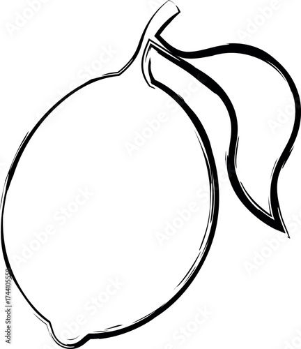 Hand-drawn sketch of a lemon with a leaf. Rough chalk and charcoal sketch of a lemon. Isolated vector illustration on a transparent background.