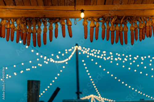 Matured harvest corn hanging from a wooden stand top, with warm lights glowing in the background for a festive Halloween mood.