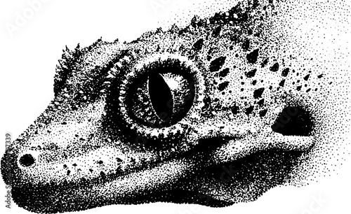 Intricate dotwork stippling of reptile head with textured gradient effect