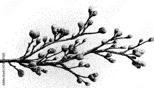 Delicate branches in detailed dotwork stippling illustrative art for texture and design