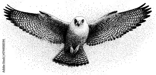 Intricate dotwork stippling artwork of horus falcon with outstretched wings