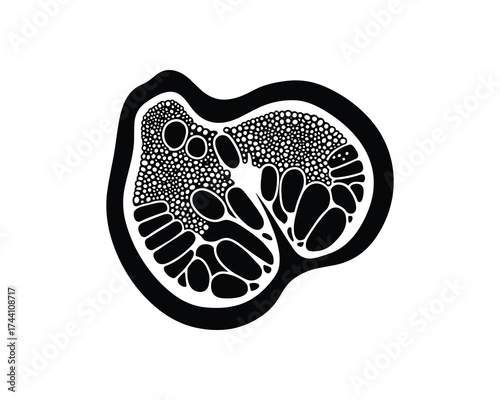 Exotic fruit cross section abstract design