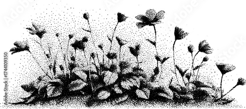 Intricate dotwork stippling of meadow wildflowers for art and design projects