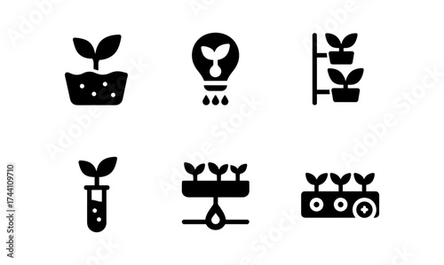 Minimalist icons of plant growth and innovative hydroponic methods