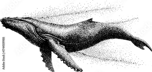 Majestic whale in dotwork stipple art depicting ocean wildlife conservation
