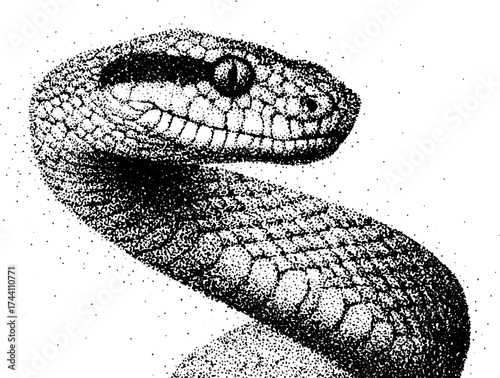 Intricate dotwork stipple illustration of a sacred serpent design for art projects