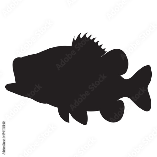 sea bass fish vector silhouette