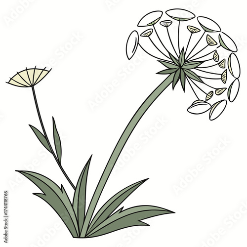 Artistic Representation of a Unique Flowering Plant artistic representation of