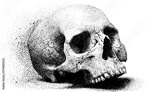 Vintage dotwork stipple human skull illustration set for artistic design