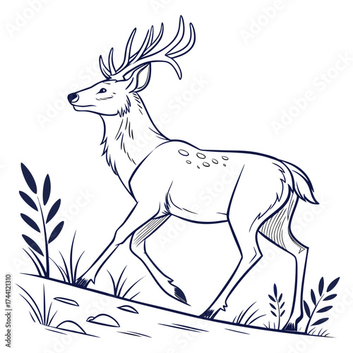 Deer walking on the hill in line art style