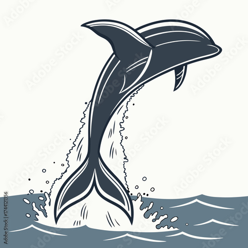 Dolphin jumping out of the water