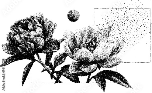 Elegant dotwork stipple art of peonies and leaves for vintage design