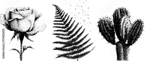 Intricate dotwork stippling of roses, ferns, and cacti for artistic design