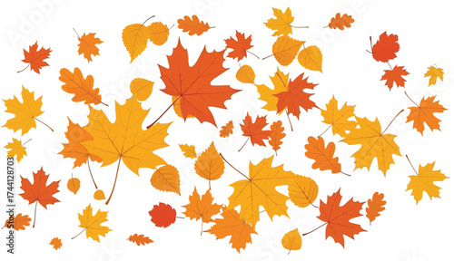 Vibrant autumn leaf collection scattered scattered fall foliage seasonal decoration elements