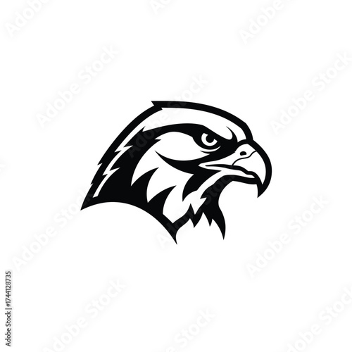 Black silhouette of a hawk's head with sharp features Keywords: hawk, falcon, bird of prey, head