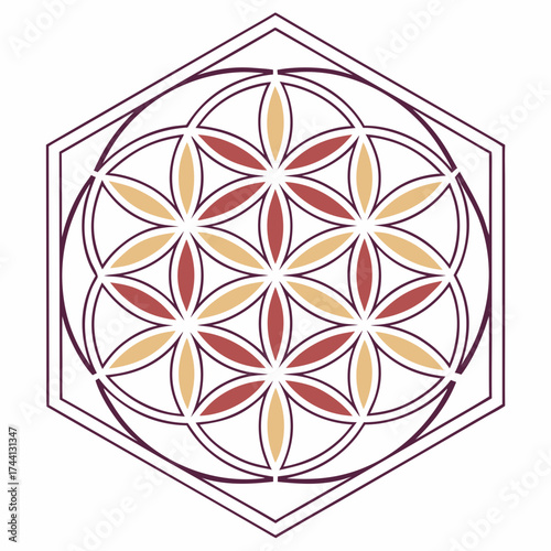Sacred geometry flower of life symbol in hexagon outline