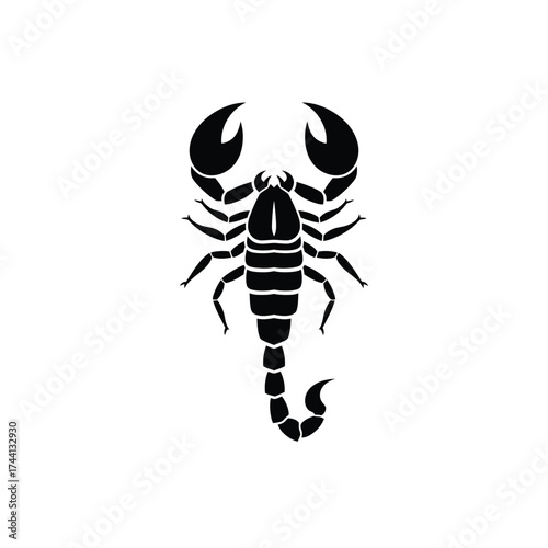 Black Silhouette of Scorpion Facing Upwards insect