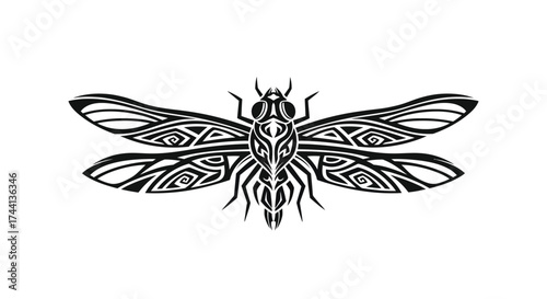Black tribal dragonfly silhouette on white background