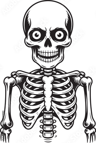 Human Skeleton Illustration Graphic