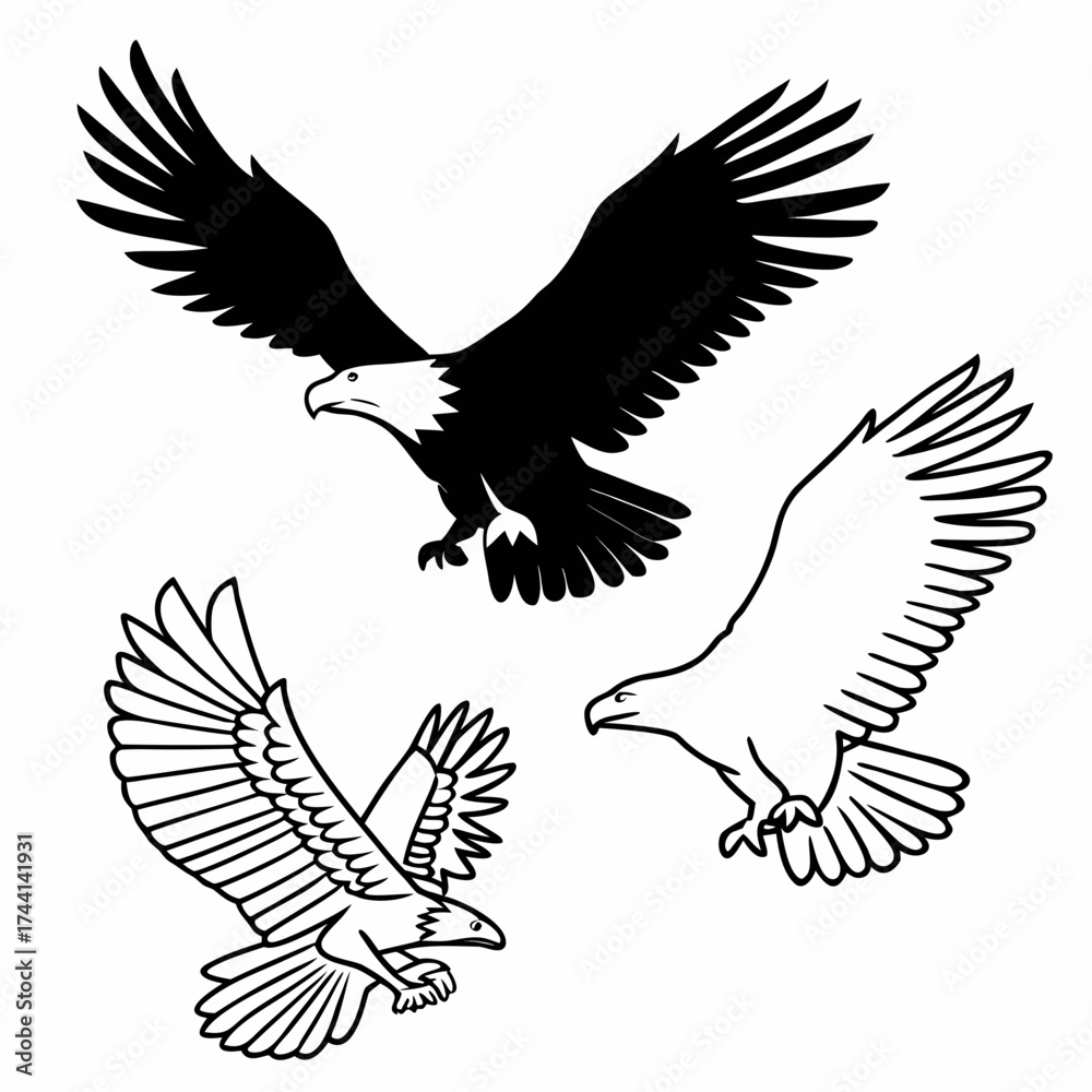 Obraz premium Three eagles in flight one solid black and two line art illustrations