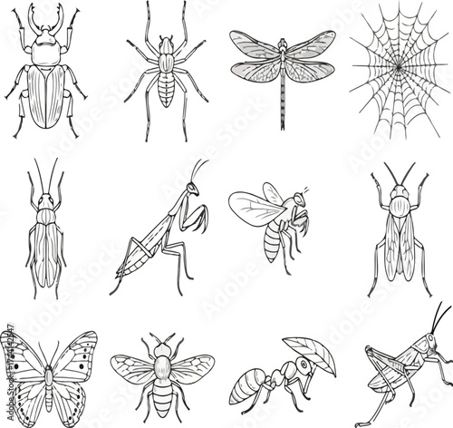 set of bugs, bugs, insects, bug species, common bugs, garden bugs, bugs identification, bugs habitat, bugs facts, bugs types, bugs and pests, bugs lifecycle, bugs pictures, bugs photos, bugs in house