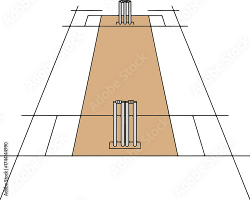 Detailed cricket pitch illustration with markings