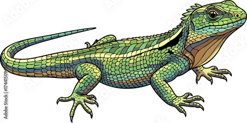 jungle jewel intricate green lizard illustration posing with exotic charm, isolated on transparent background