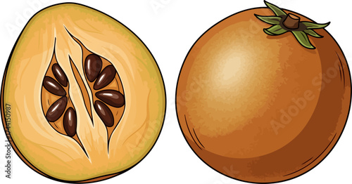 loquats golden secret a vibrant look inside natures sweet and nutritious gift, isolated on transparent background