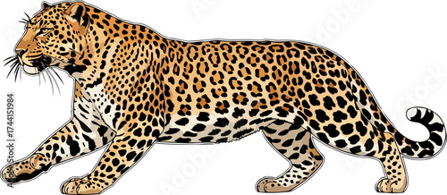 untamed spirit a formidable leopard stalks with focused intensity and predatory elegance, isolated on transparent background