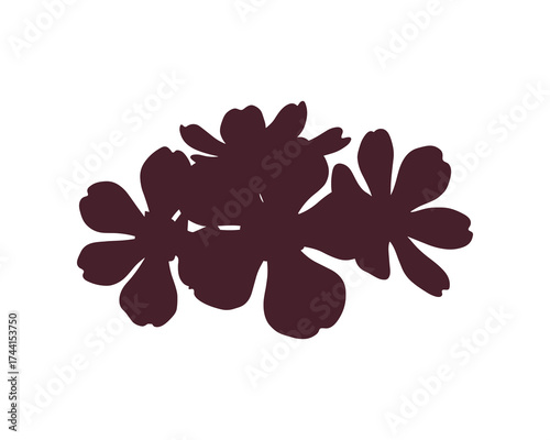 Small flower cluster silhouette