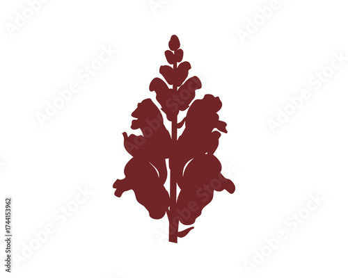 Snapdragon flower stalk silhouette
