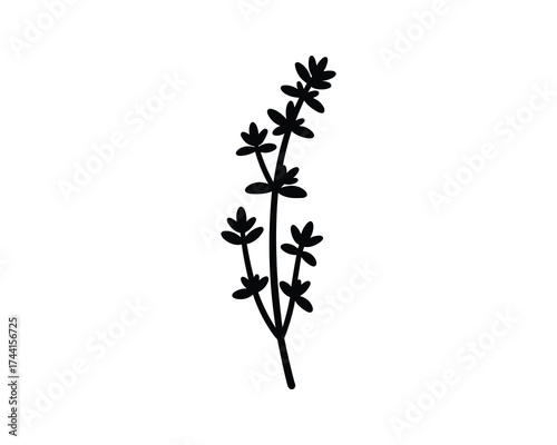 Thyme Herb Silhouette Minimalist