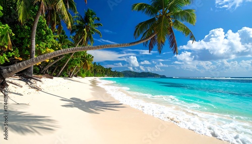 Fototapeta Naklejka Na Ścianę i Meble -  Tropical beach scene featuring palm trees and clear water