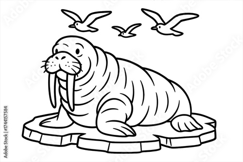 Walrus on Ice. Arctic wildlife coloring page: walrus with giant tusks resting on ice, sea gulls flying above, black and white
