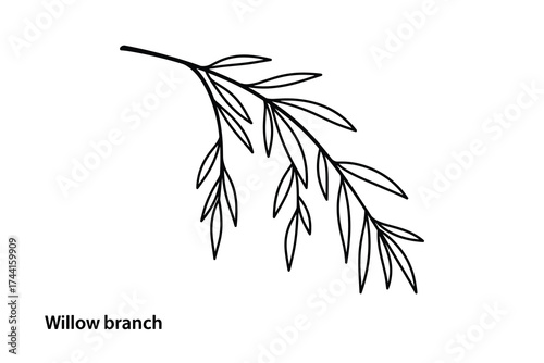 Willow Branch, a simple minimalist vector illustration