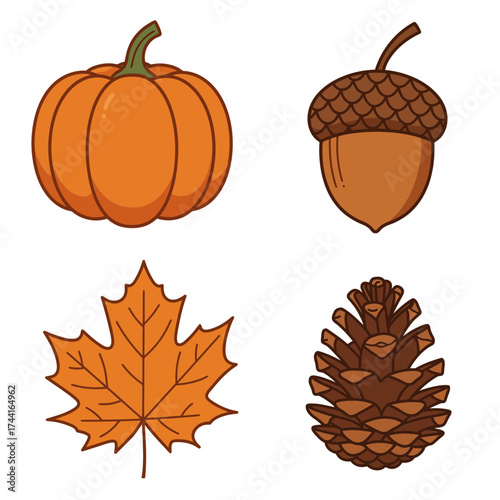 Pumpkin and acorn pinecone set – rustic autumn harvest festival vector artwork