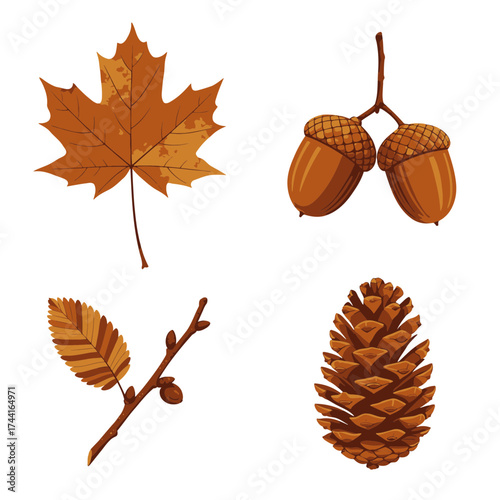 Autumn leaves, pinecones, and acorns – fall forest seasonal decoration vector illustration