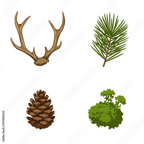 Rustic pinecone and deer antlers with evergreen leaves – natural woodland forest decor vector design