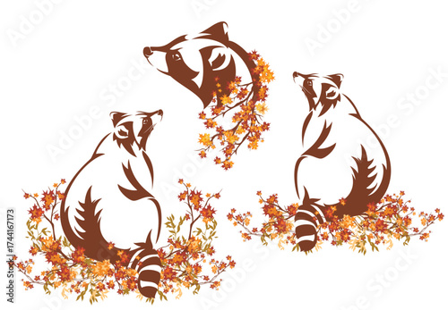 cute sitting raccoon among autumn season tree branches - forest animal wildlife fall season vector design set