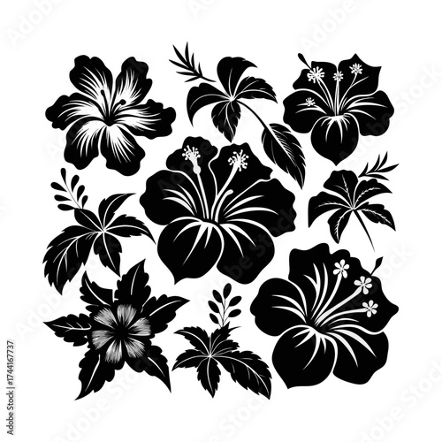 Vector art of set of hibiscus flowers in black and white