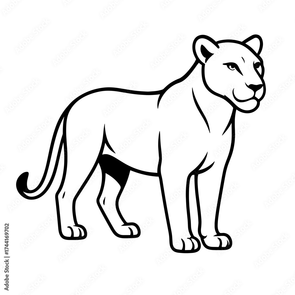 Obraz premium Lioness standing in a side view with a confident expression 