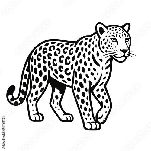 Leopard walking with distinctive spots in a bold, graphic style  
