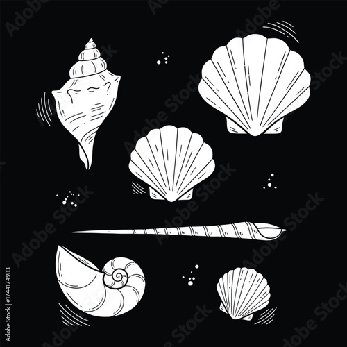 Collection of various seashell silhouettes in a detailed artistic sketch style isolated on white background